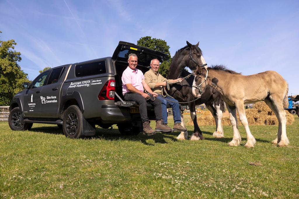 True horsepower: how the Toyota Hilux is helping Cannon Hall Farm’s Shire horse project