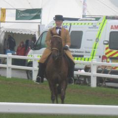 Dartmoor Dave